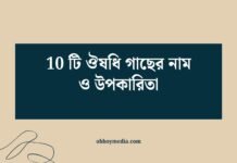 10 টি ঔষধি গাছের নাম ও উপকারিতা