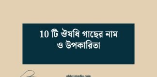 10 টি ঔষধি গাছের নাম ও উপকারিতা