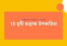 10 মুখী রুদ্রাক্ষ উপকারিতা