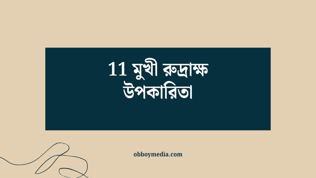 11 মুখী রুদ্রাক্ষ উপকারিতা
