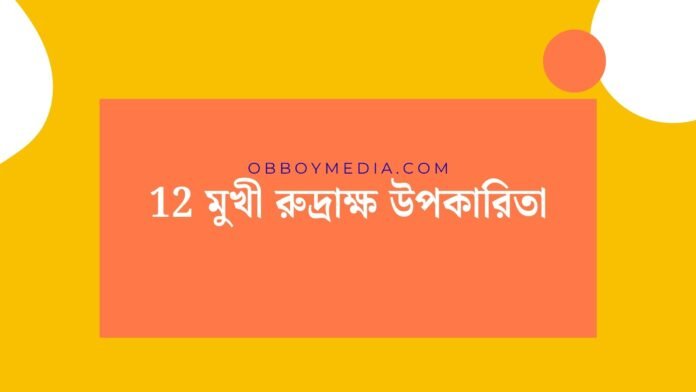 12 মুখী রুদ্রাক্ষ উপকারিতা