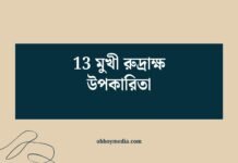 13 মুখী রুদ্রাক্ষ উপকারিতা