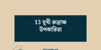 13 মুখী রুদ্রাক্ষ উপকারিতা
