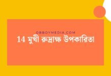 14 মুখী রুদ্রাক্ষ উপকারিতা