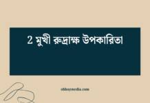 2 মুখী রুদ্রাক্ষ উপকারিতা