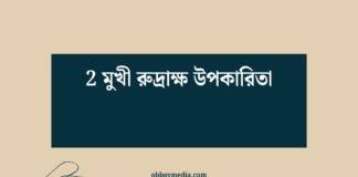 2 মুখী রুদ্রাক্ষ উপকারিতা