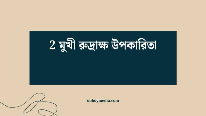 2 মুখী রুদ্রাক্ষ উপকারিতা