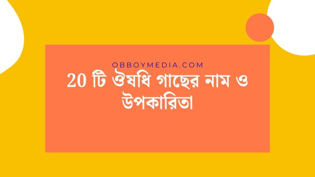 20 টি ঔষধি গাছের নাম ও উপকারিতা: প্রকৃতির চিকিৎসকদের গোপন চাবিকাঠি 20 টি ঔষধি গাছের নাম ও উপকারিতা