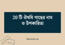 20 টি ঔষধি গাছের নাম ও উপকারিতা