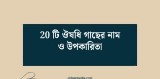 20 টি ঔষধি গাছের নাম ও উপকারিতা