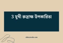 3 মুখী রুদ্রাক্ষ উপকারিতা