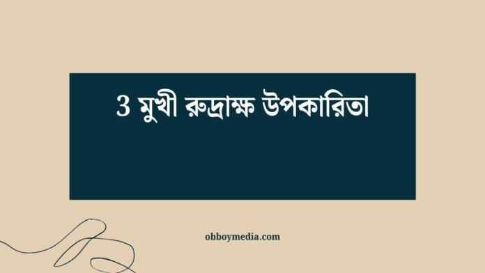 3 মুখী রুদ্রাক্ষ উপকারিতা
