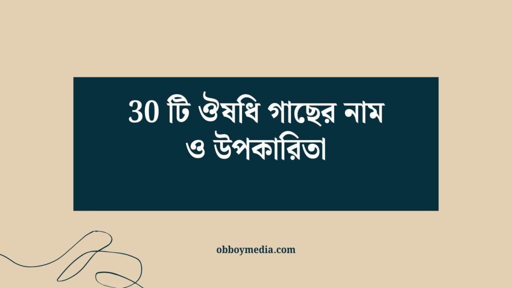 30 টি ঔষধি গাছের নাম ও উপকারিতা