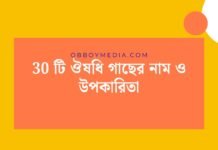 30 টি ঔষধি গাছের নাম ও উপকারিতা