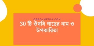 30 টি ঔষধি গাছের নাম ও উপকারিতা