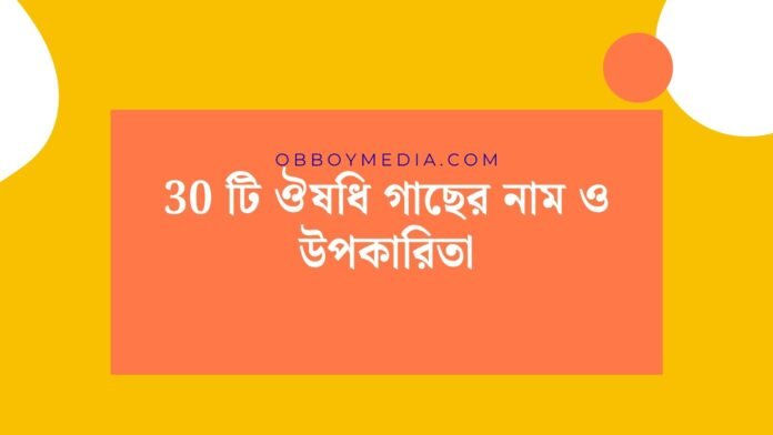 30 টি ঔষধি গাছের নাম ও উপকারিতা
