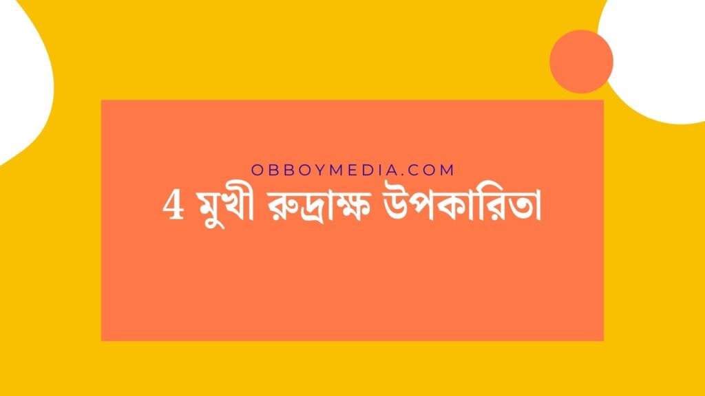 4 মুখী রুদ্রাক্ষ উপকারিতা