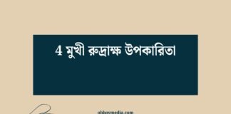 4 মুখী রুদ্রাক্ষ উপকারিতা