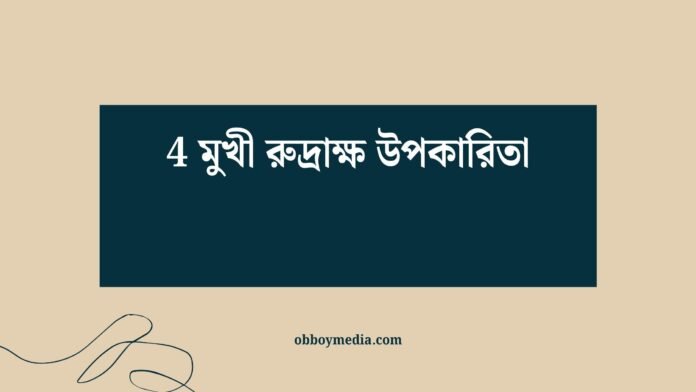 4 মুখী রুদ্রাক্ষ উপকারিতা