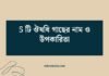 5 টি ঔষধি গাছের নাম ও উপকারিতা: প্রকৃতির চিকিৎসকদের গুপ্তধন 5 টি ঔষধি গাছের নাম ও উপকারিতা