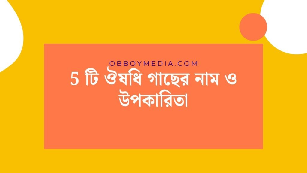 5 টি ঔষধি গাছের নাম ও উপকারিতা