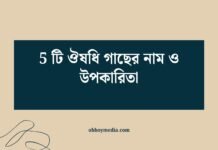 5 টি ঔষধি গাছের নাম ও উপকারিতা