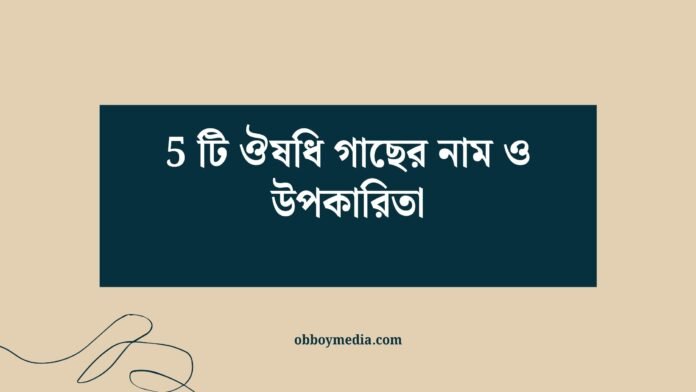 5 টি ঔষধি গাছের নাম ও উপকারিতা