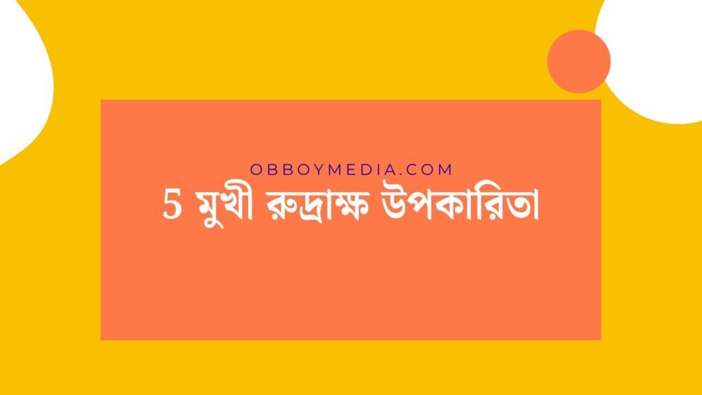 5 মুখী রুদ্রাক্ষ উপকারিতা