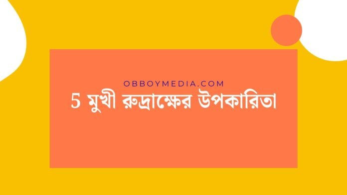 5 মুখী রুদ্রাক্ষের উপকারিতা