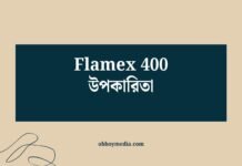 Flamex 400 উপকারিতা