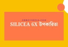 silicea 6x উপকারিতা: একটি সম্পূর্ণ গাইড Silicea 6x উপকারিতা