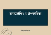 অ্যাস্টেকিং 4 উপকারিতা