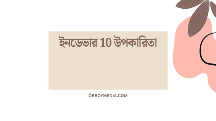 ইনডেভার 10 উপকারিতা