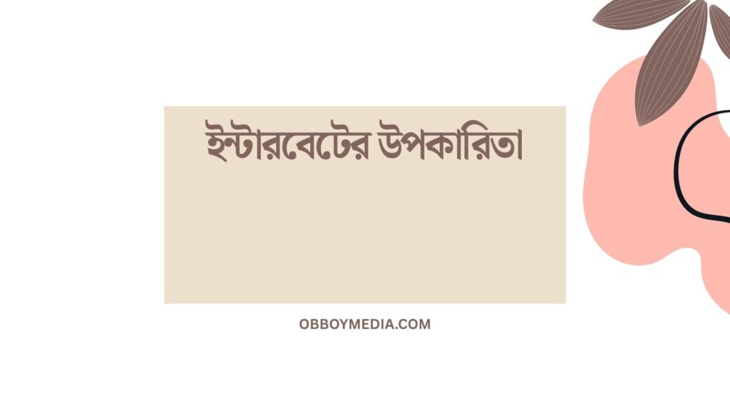 ইন্টারবেটের উপকারিতা: আজকের দিনগুলির মাঝে অবিচ্ছিন্ন অংশ ইন্টারবেটের উপকারিতা