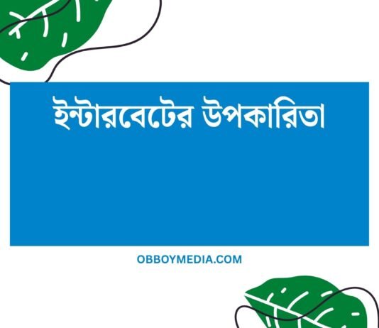 ইন্টারবেটের উপকারিতা: আজকের দিনগুলির মাঝে অবিচ্ছিন্ন অংশ ইন্টারবেটের উপকারিতা