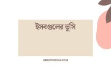 ইসবগুলের ভুসি: উপকারিতা ও অপকারিতা কী কী? সম্পূর্ণ গাইড ইসবগুলের ভুসি