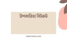 উপকারিতা বিটরুট: আধুনিক জীবনের স্বাস্থ্যকর বিকল্প উপকারিতা বিটরুট