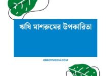 ঋষি মাশরুমের উপকারিতা: স্বাস্থ্য, রোগ প্রতিরোধ ও পুষ্টির গুপ্ত সম্পদ ঋষি মাশরুমের উপকারিতা
