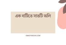 এক বাটিতে সাতটি অলি: কী এবং কেন? এক বাটিতে সাতটি অলি
