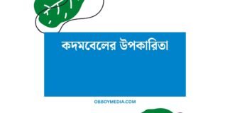 কদমবেলের উপকারিতা: সুরে মনটি শুধুই নয়, সমাজকেও সহজ করে কদমবেলের উপকারিতা