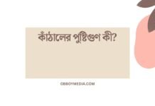 কাঁঠালের পুষ্টিগুণ কী? কাঁঠালের পুষ্টিগুণ কী