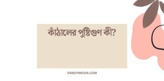 কাঁঠালের পুষ্টিগুণ কী