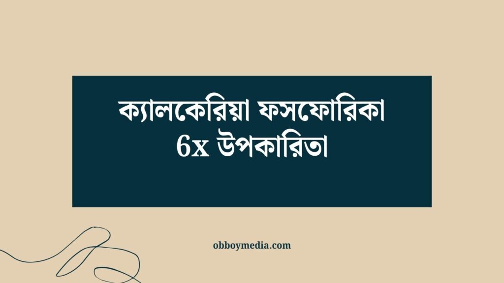 ক্যালকেরিয়া ফসফোরিকা 6x উপকারিতা