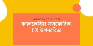 ক্যালকেরিয়া ফসফোরিকা 6x উপকারিতা