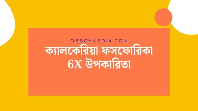 ক্যালকেরিয়া ফসফোরিকা 6x উপকারিতা