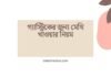 গ্যাস্ট্রিকের জন্য মেথি খাওয়ার নিয়ম
