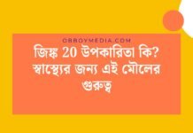 জিঙ্ক 20 উপকারিতা কি_ স্বাস্থ্যের জন্য এই মৌলের গুরুত্ব