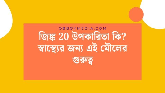 জিঙ্ক 20 উপকারিতা কি_ স্বাস্থ্যের জন্য এই মৌলের গুরুত্ব জিঙ্ক 20 উপকারিতা কি_ স্বাস্থ্যের জন্য এই মৌলের গুরুত্ব