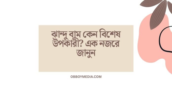 ঝান্দু বাম কেন বিশেষ উপকারী_ এক নজরে জানুন