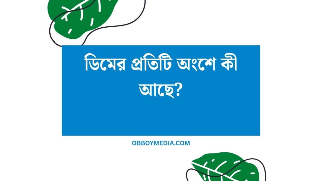 ডিমের প্রতিটি অংশে কী আছে